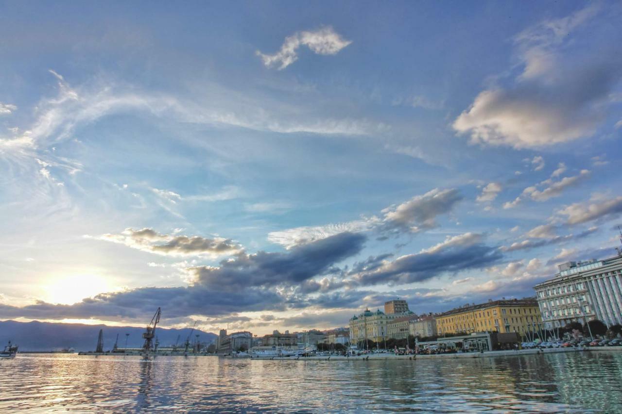 Kuca Za Odmor Villa Curlylocs - Vila Kosjenka Viskovo Bagian luar foto